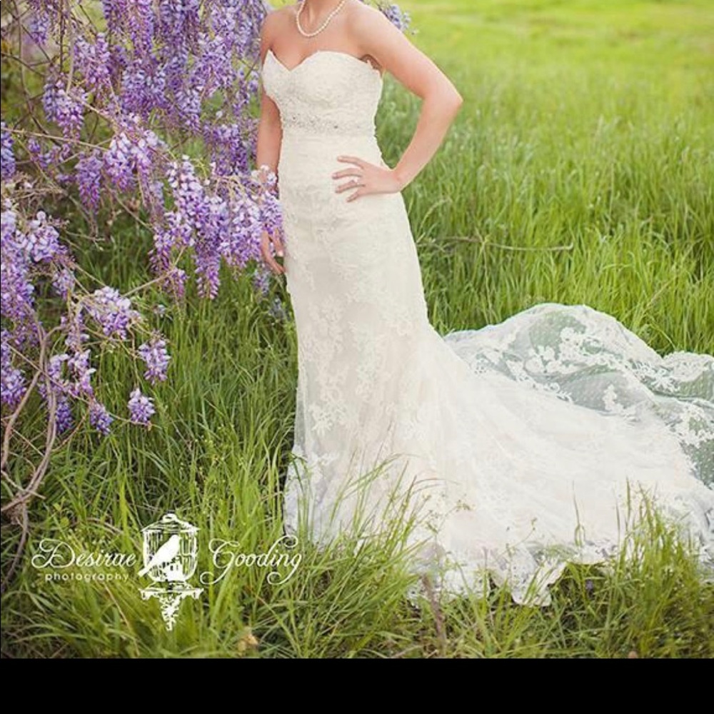 Casa Blanca ivory lace with champagne underneath.